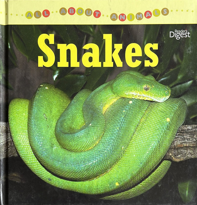 All About Animals : Snakes