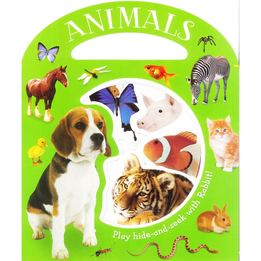 Busy Window : Animals