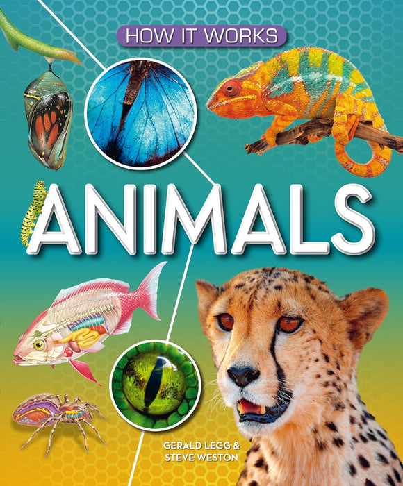 How It Works : Animals