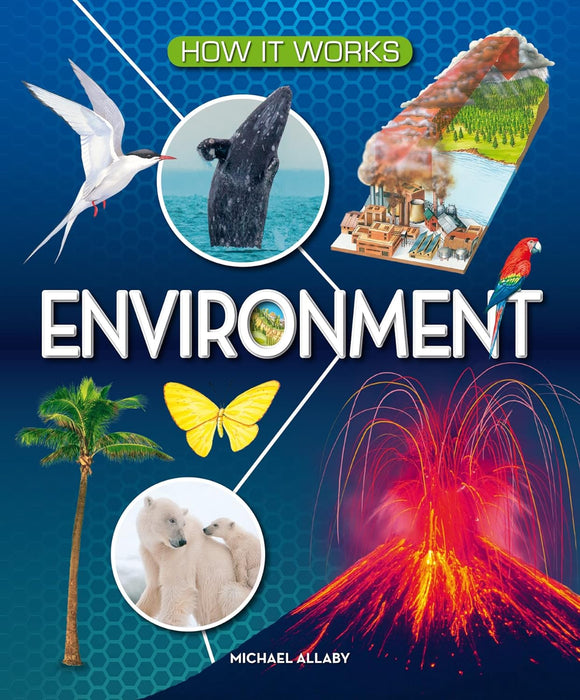 How It Works : Environment