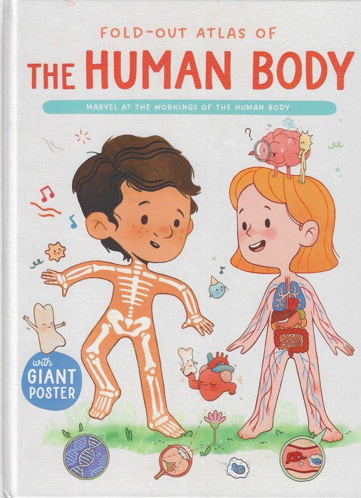 Fold-out Atlas of The Human Body (New Edition)