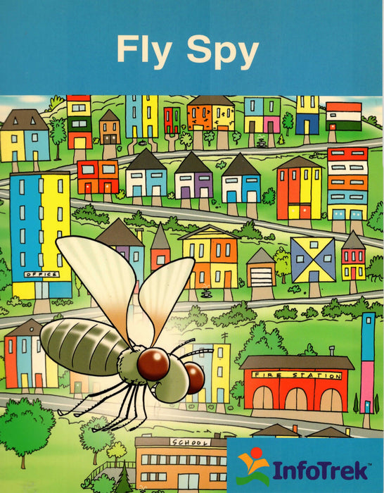 Infotrek Mathematics: Fly Spy