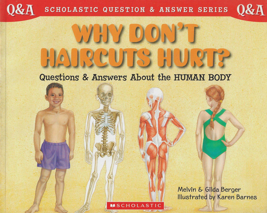 Q&A Why Don't Haircuts Hurt?