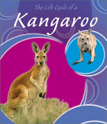 Life Cycle Of A Kangaroo