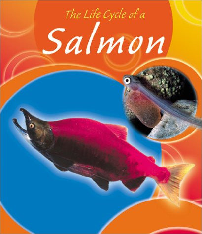 Life Cycle Of A Salmon