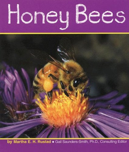 Honey Bees Insects