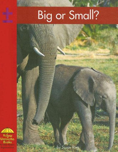 Big Or Small