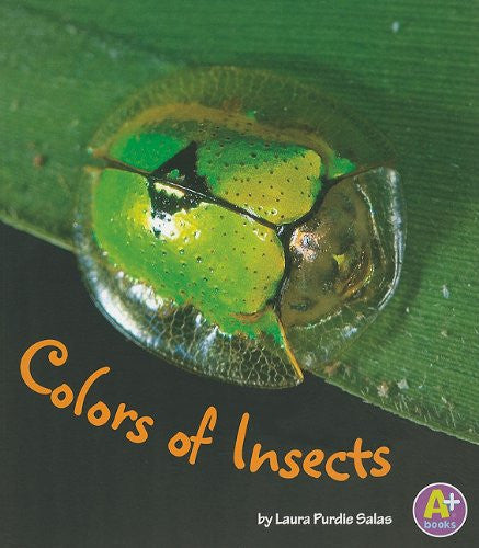 Colors Of Insects