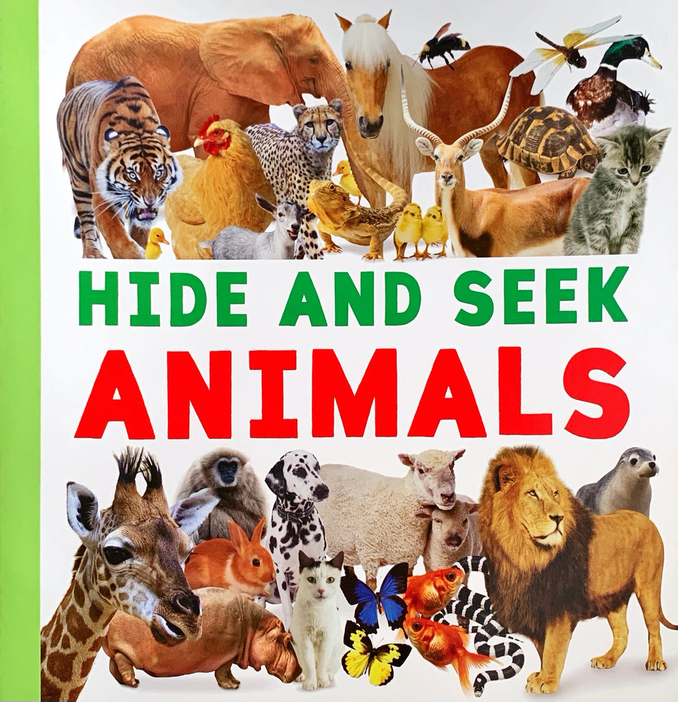 Hide and Seek Animals