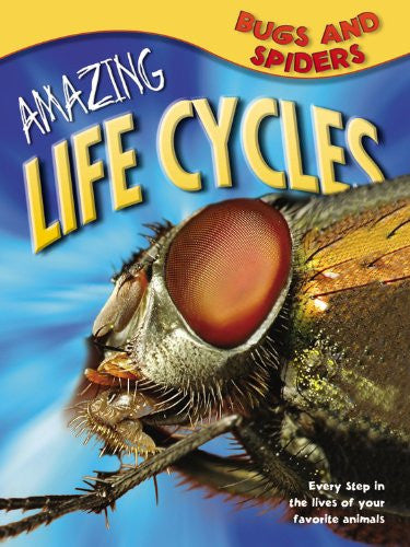 Amazing Life Cycles: Bugs and Spiders