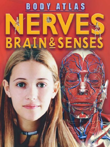 Body Atlas: Nerves, Brain & Senses
