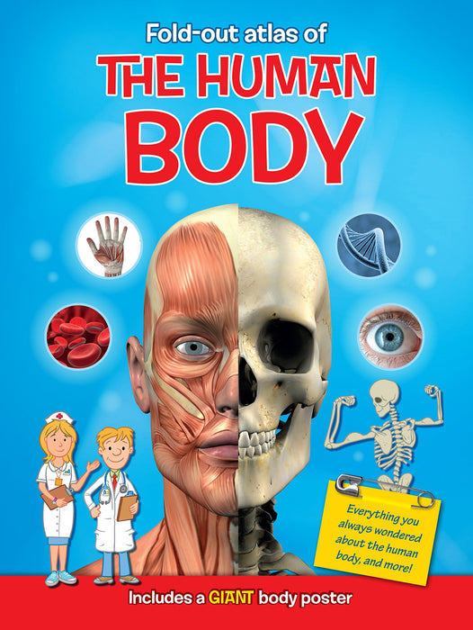 Fold-out Atlas of The Human Body