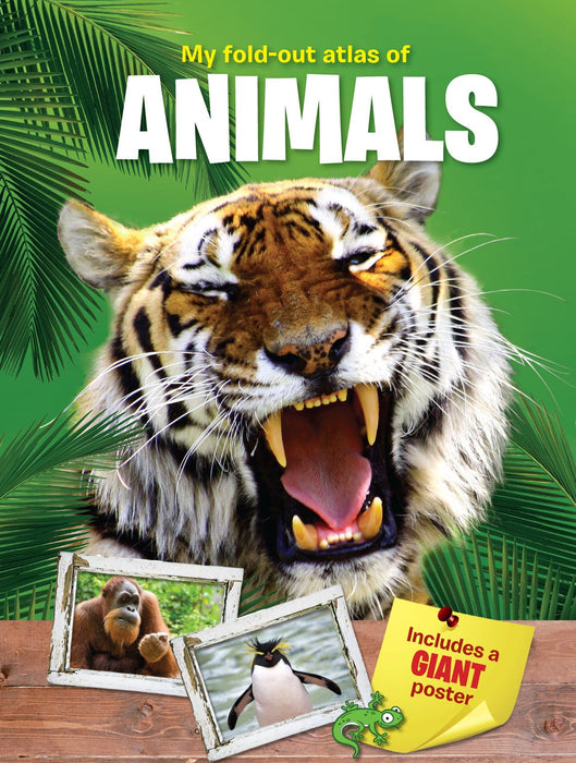 My Fold-out Atlas of Animals