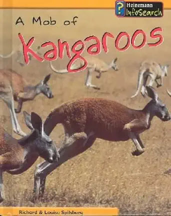 Infosearch Mob Of Kangaroos Heinemann
