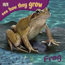 Dk See How They Grow Frog With Stickers