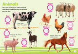 I-Spy : My First Farm - Spy It! Stick It!