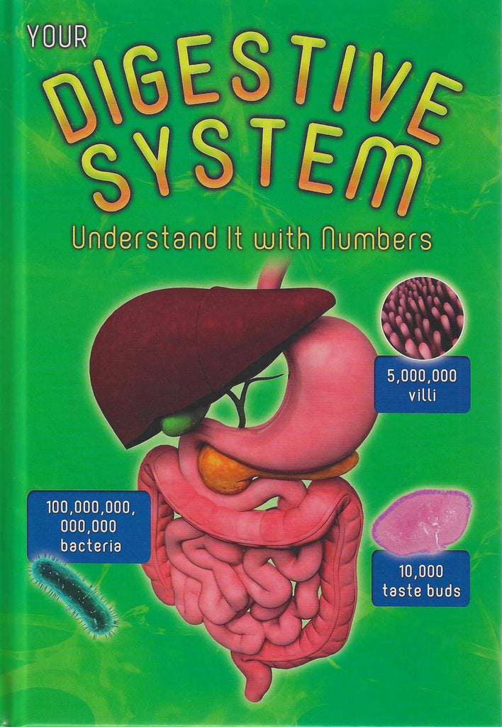 Your Digestive System : Understanding Them with Numbers