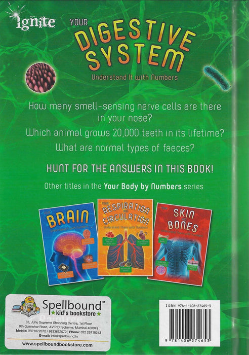 Your Digestive System : Understanding Them with Numbers