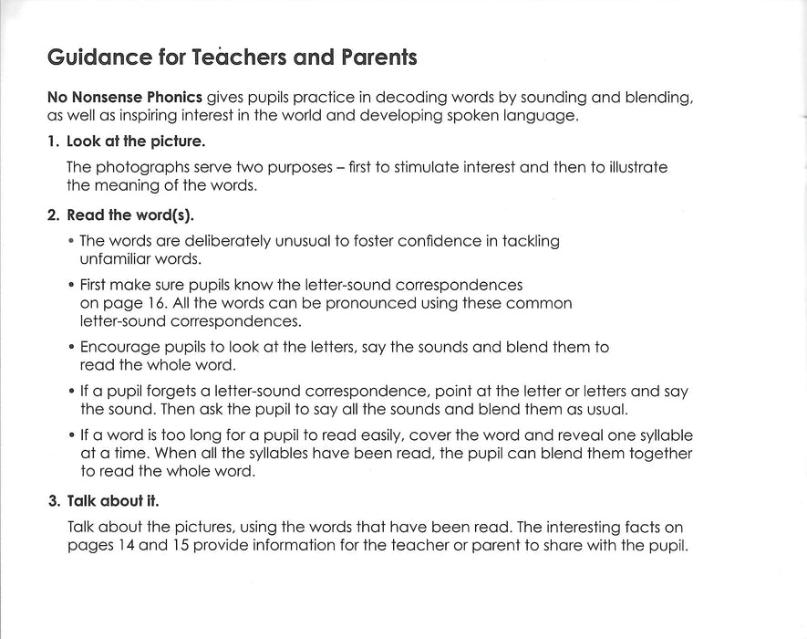 No Nonsense Phonics : Homes (Level 2)