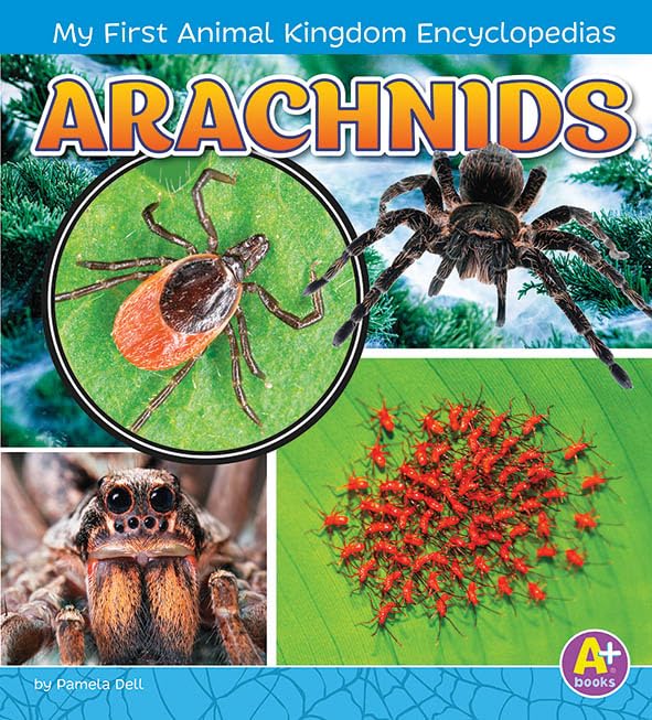 ANIMAL KINGDOM : ARACHNIDS