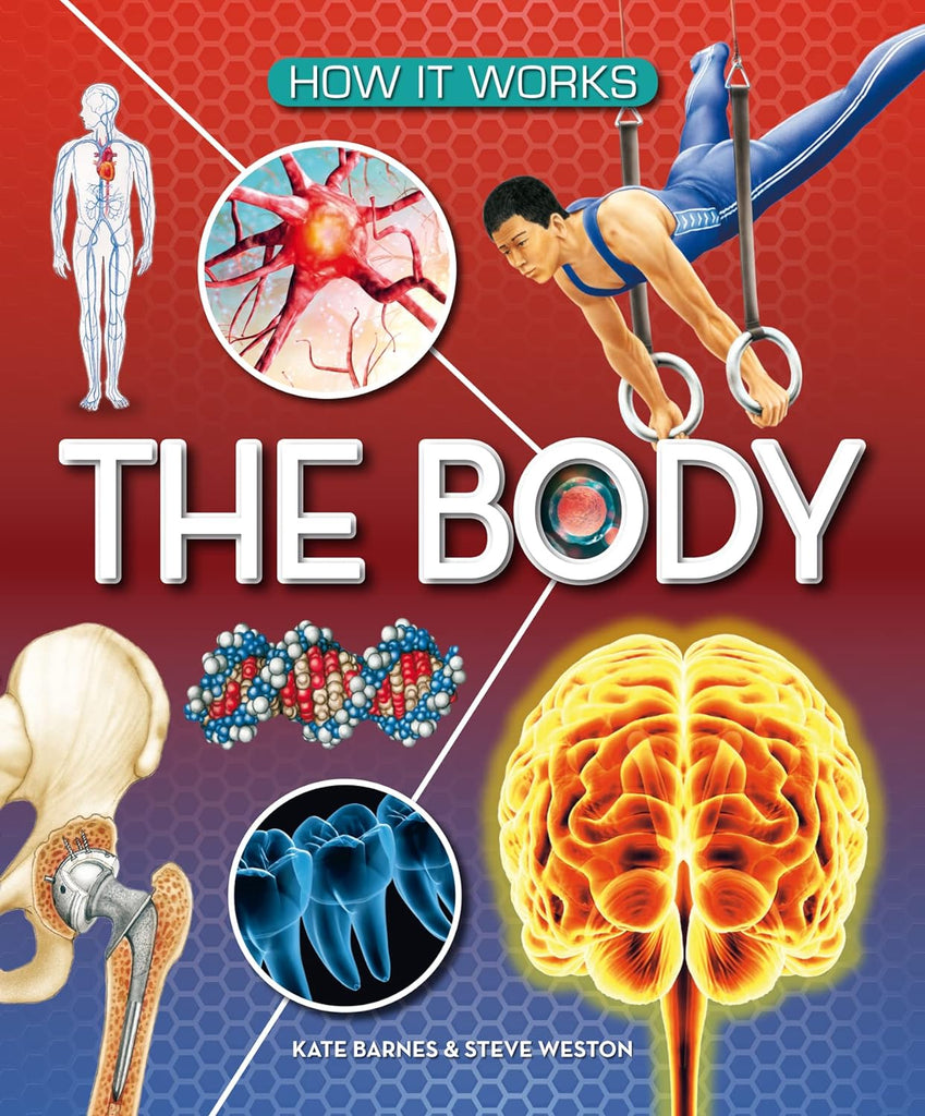How It Works : The Body