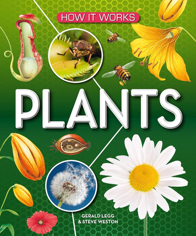 How It Works : Plants