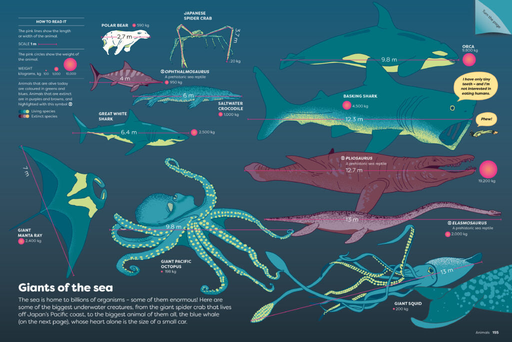 Britannica's Encyclopedia Infographica