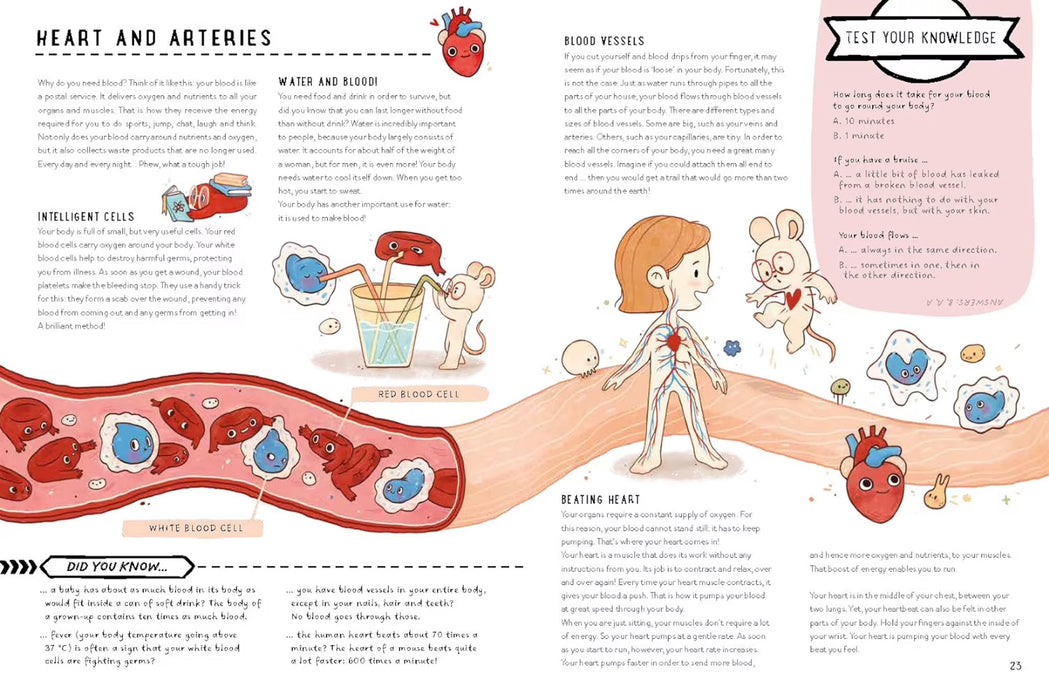 Fold-out Atlas of The Human Body (New Edition)