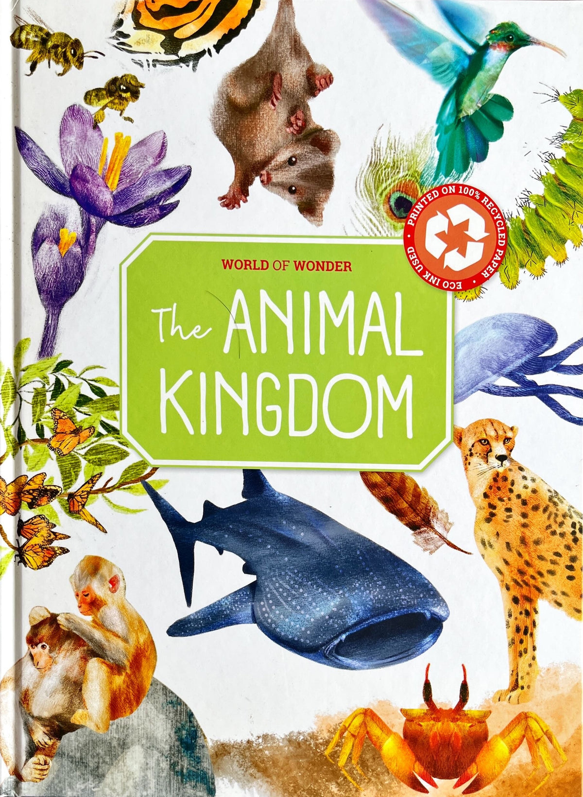 World of Wonder : The Animal Kingdom — Spellbound Kids Bookstore