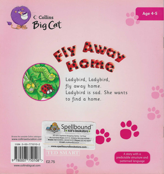 Collins Big Cat : Fly Away Home