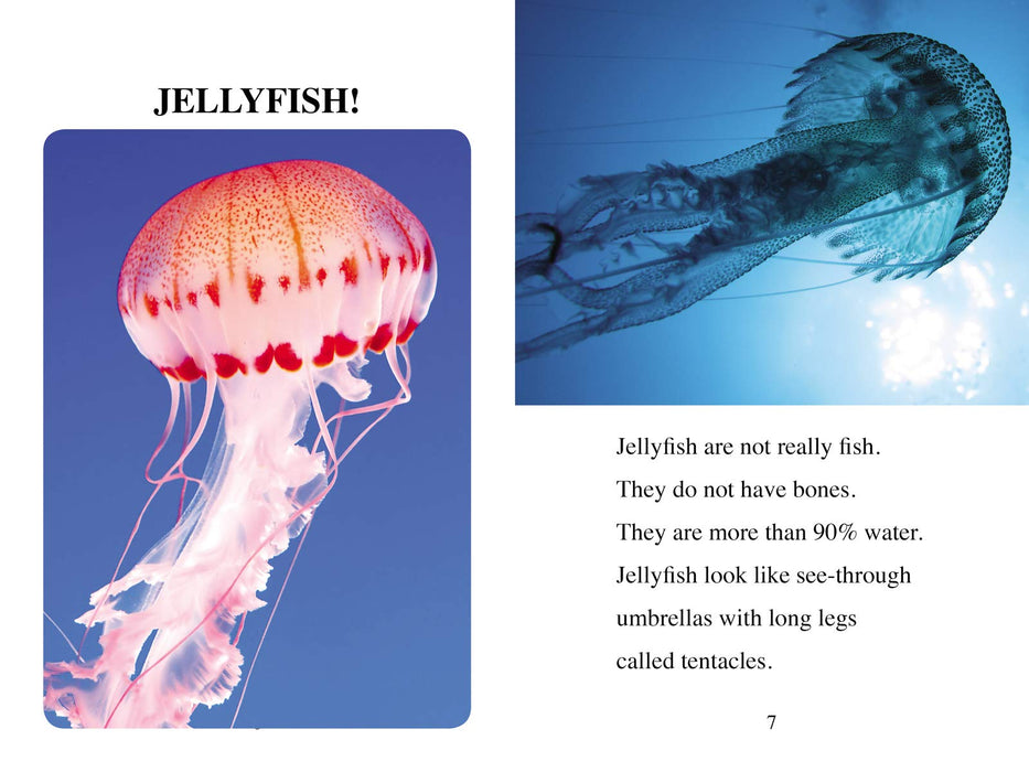 I Can Read : Made By God : Sea Creatures L2