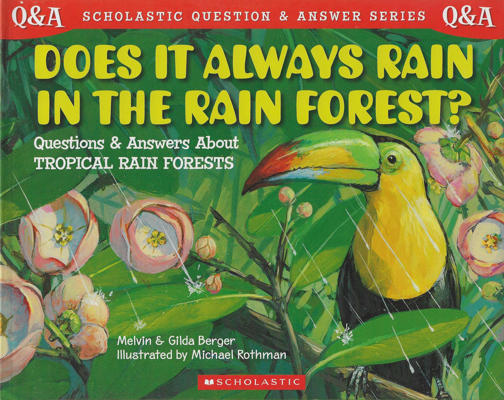 Q&A Does It Always Rain In Rain Forest?