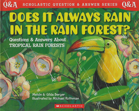 Q&A Does It Always Rain In Rain Forest?