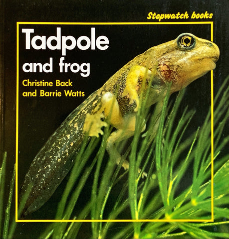 Stopwatch : Tadpole And Frog