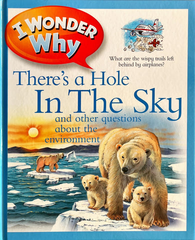 I Wonder Why : There's a Hole In The Sky (Hardcover)