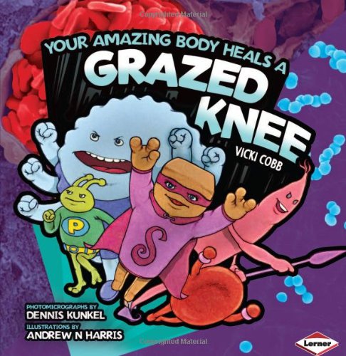 Your Amazing Body Heals A Grazed Knee