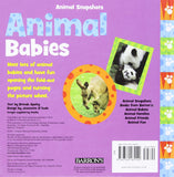 Animal Snapshots Animal Babies