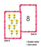 Brighter Child Numbers 1-26 Flash Cards
