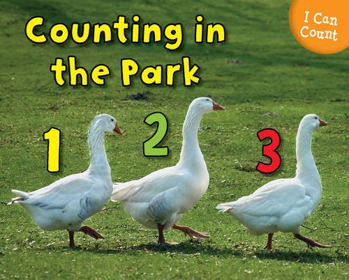 I Can Count.. Counting at the Park