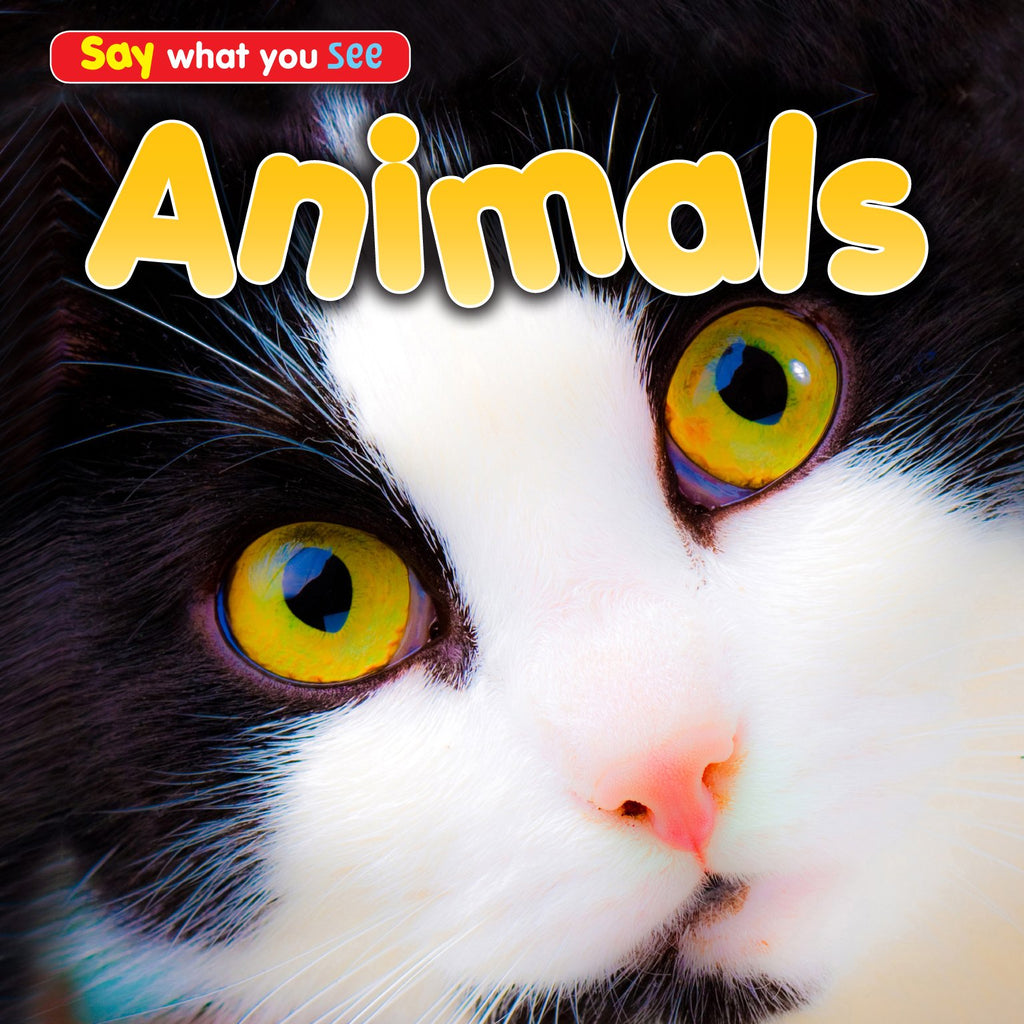 Say What you See : Animals