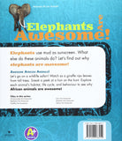 Elephants are Awesome!