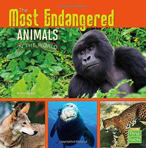First Facts : The Most Endangered Animals in the World