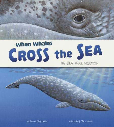 When Whales Cross The Sea : The Gray Whale Migration