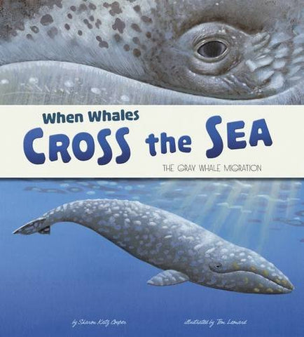 When Whales Cross The Sea : The Gray Whale Migration