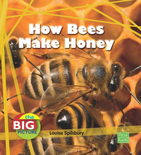First Facts The Big Picture How Bees Make Honey