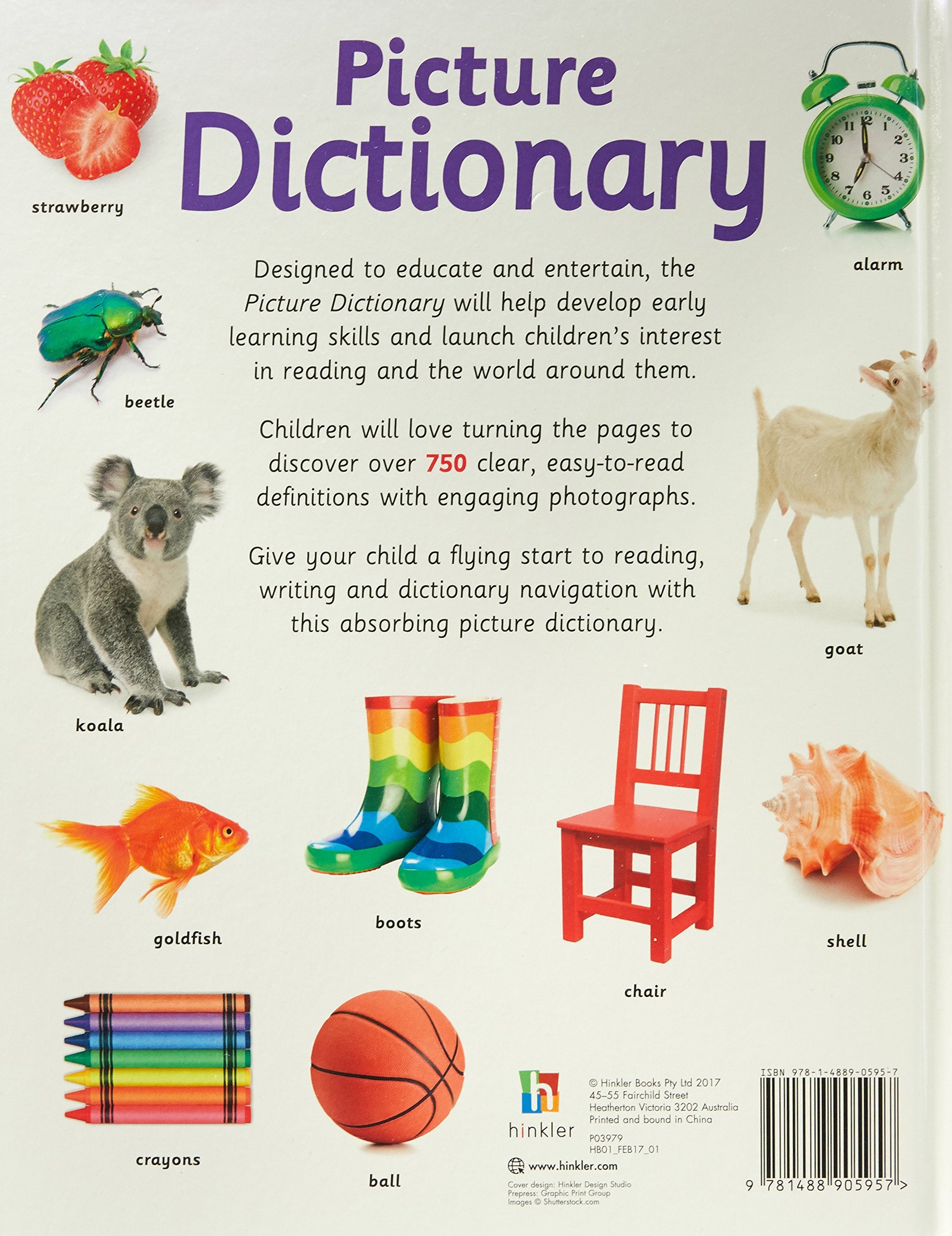 Picture Dictionary — Spellbound Kids Bookstore