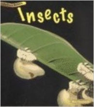Big Book Animal Babies Insects