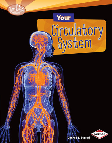Searchlight Books : Your Circulatory System