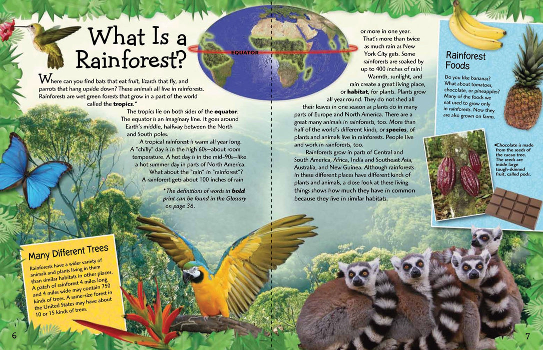 Animal Adventures Rain Forest