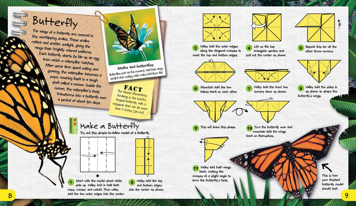 Origami Adventures: Animals